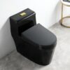 Bồn cầu 1 khối Men Đen TTCERA BC015