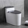 Bồn Cầu 1 Khối Nắp Đen BC023