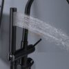 Sen Cây Màu Đen Đặt Sàn Bồn Tắm Nằm TTCERA SBT03