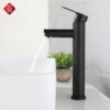Vòi Lavabo Nóng Lạnh Inox Sơn Tĩnh Điện Đen Cao 30cm TTCERA LB214