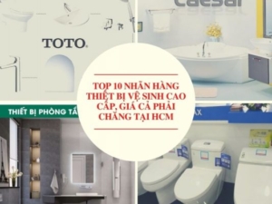 Top 10 Nhãn Hàng Thiết Bị Vệ Sinh Cao Cấp, Giá Cả Phải Chăng Tại HCM