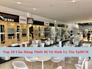 Top 10 Cửa Hàng Thiết Bị Vệ Sinh Uy Tín TpHCM