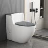 Bồn Cầu Trứng 1 Khối TTCERA BC041