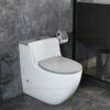 Bồn Cầu Trứng 1 Khối TTCERA BC041