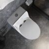 Bồn Cầu Trứng 1 Khối TTCERA BC041