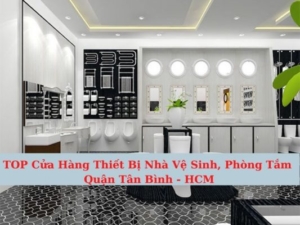 Top cửa hàng thiết bị vệ sinh quận Tân Bình