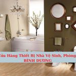 Top cửa hàng thiết bị vệ sinh tại Bình Dương