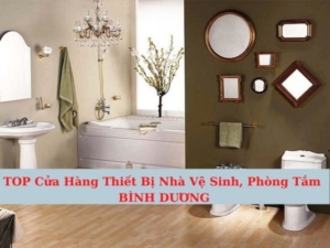 Top cửa hàng thiết bị vệ sinh tại Bình Dương
