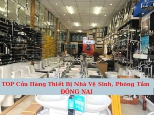 Cửa hàng thiết bị vệ sinh tại Đồng nai