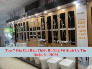 Top 7 Cửa Hàng Bán Thiết Bị Nhà Vệ Sinh Quận 5 Uy Tín