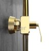 Sen Cây Tắm Đứng Đồng Thau Mạ Vàng Holer HL219