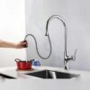 Vòi Rửa Chén Rút Dây Đồng Thau Mạ Crome Holer CHL804