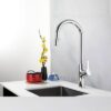 Vòi Rửa Chén Rút Dây Đồng Thau Mạ Crome Holer CHL804