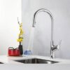 Vòi Rửa Chén Rút Dây Đồng Thau Mạ Crome Holer CHL804