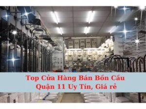 Top Cửa Hàng Bán Bồn Cầu Quận 11 Tốt Giá Rẻ