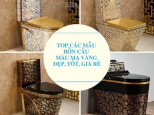 Top các bồn cầu màu mạ vàng đẹp tốt giá rẻ