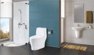 thiết bị vệ sinh bồn cầu kasssani