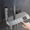 Sen Cây Tắm Đứng Đồng Thau Sơn Tĩnh Điện Xám Holer HL235