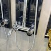 Sen Cây Đồng Thau Mạ Crome TTCERA SC154