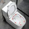 Bồn Cầu 1 Khối Holer HLBC296