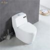 Bồn Cầu 1 Khối Holer HLBC227