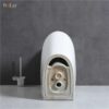 Bồn Cầu 1 Khối Holer HLBC227