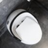 Bồn Cầu Trứng Nghệ Thuật 1 Khối Holer HLBC221