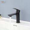 Vòi Lavabo Lạnh Đồng Sơn Tĩnh Điện Đen Holer HL-LB627