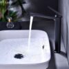Vòi Lavabo Lạnh Đồng Sơn Tĩnh Điện Đen Cao 30cm Holer HL-LB636