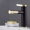 Vòi Lavabo Nóng Lạnh Sơn Tĩnh Điện Đen Vàng TTCERA LB261
