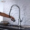 Vòi Rửa Chén Rút Dây Đồng Thau Mạ Crome Holer CHL900