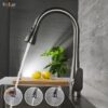 Vòi Rửa Chén Rút Dây Inox 304 Sơn Tĩnh Điện Màu Xám Holer CHL908