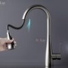 Vòi Rửa Chén Rút Dây Inox 304 Sơn Tĩnh Điện Màu Xám Holer CHL908