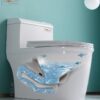 Bồn Cầu 1 Khối Holer HLBC211