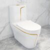 Bồn Cầu 1 Khối Trắng Viền Kẻ Vàng BC025Y