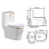 Bồn Cầu 1 Khối Trắng Viền Kẻ Vàng BC025Y