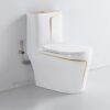 Bồn Cầu 1 Khối Trắng Viền Kẻ Vàng BC025Y
