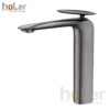 Vòi Lavabo Lạnh Đồng Sơn Tĩnh Điện Xám Holer HL-LB653