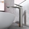 Vòi Lavabo Lạnh Đồng Sơn Tĩnh Điện Xám Holer HL-LB653