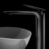 Vòi Lavabo Lạnh Đồng Sơn Tĩnh Điện Xám Holer HL-LB653