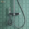 Sen Cây Đồng Thau Sơn Tĩnh Điện Đen Hiển Thị Nhiệt Độ Holer HL257