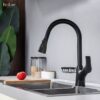 Vòi Rửa Chén Rút Dây Đồng Sơn Tĩnh Điện Màu Đen Holer CHL918