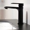 Vòi Lavabo Lạnh Đồng Sơn Tĩnh Điện Đen Holer HL-LB662