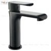 Vòi Lavabo Lạnh Đồng Sơn Tĩnh Điện Đen Holer HL-LB662