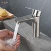 Vòi Lavabo Nóng Lạnh INOX 304 Holer HL-LB664