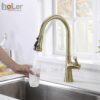 Vòi Rửa Chén Rút Dây Đồng Thau Mạ Vàng Holer CHL927