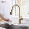 Vòi Rửa Chén Rút Dây Đồng Thau Mạ Vàng Holer CHL927