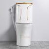 Bồn Cầu 1 Khối Viền Vàng TTCERA BC030
