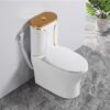 Bồn Cầu 1 Khối Viền Vàng TTCERA BC030
