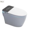 Bồn Cầu Điện Tử Holer HLBCTM-211